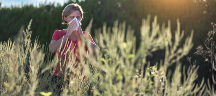 Teaser Image: Le allergie sono in aumento – i sistemi di ventilazione diventano sempre più importanti